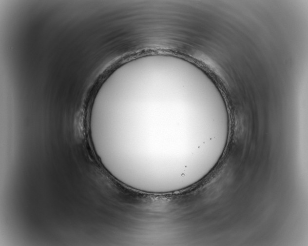 X0000088680878200706071424