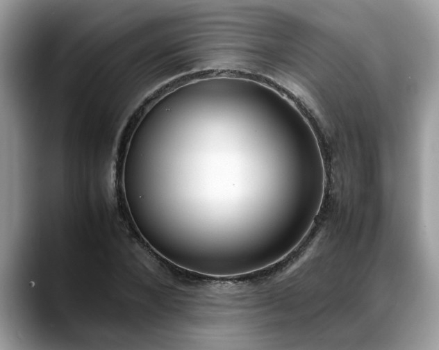 X0000088680880200706071424