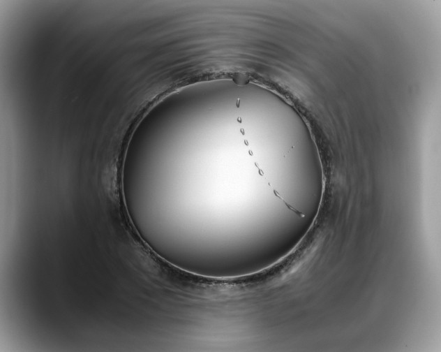 X0000088680881200706071424