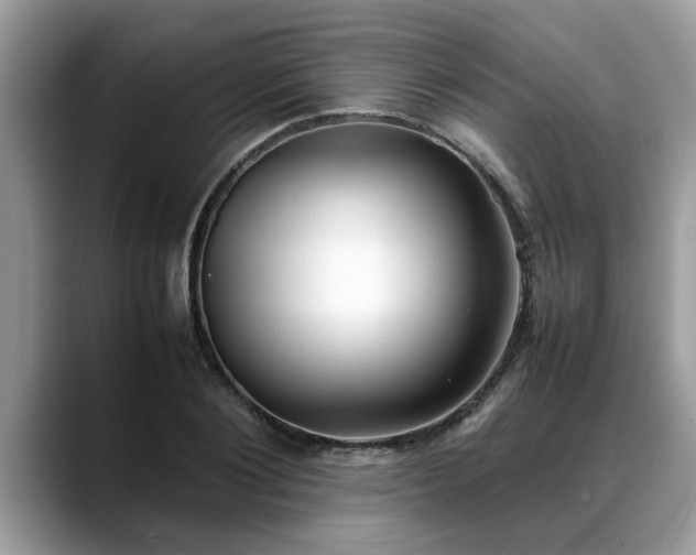 X0000088680884200706071424