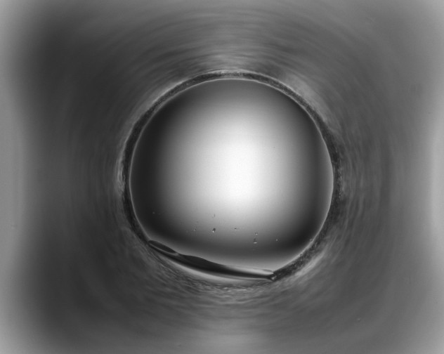 X0000088680885200706071424