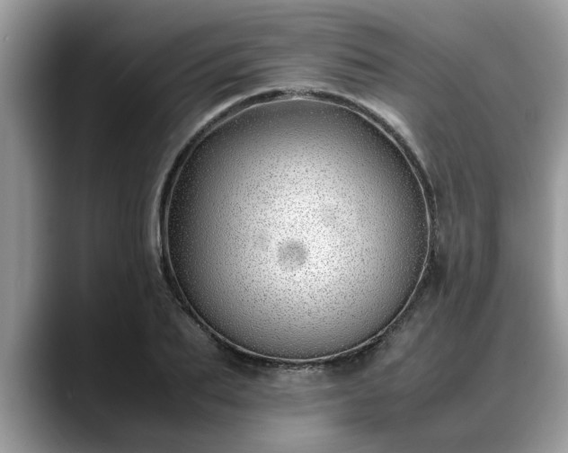 X0000088680887200706071424
