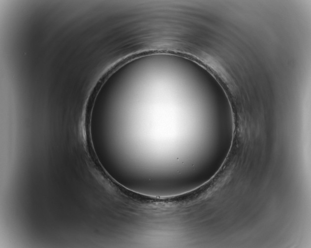 X0000088680888200706071424