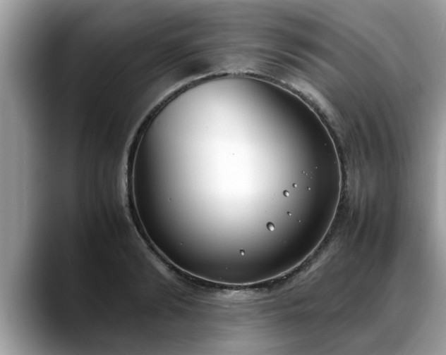 X0000088680894200706071424