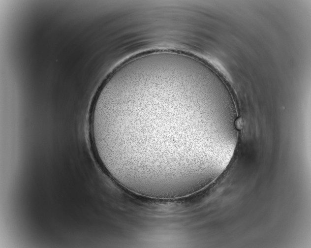 X0000088680895200706071424