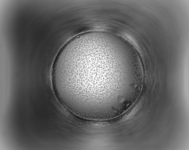 X0000088680899200706071424