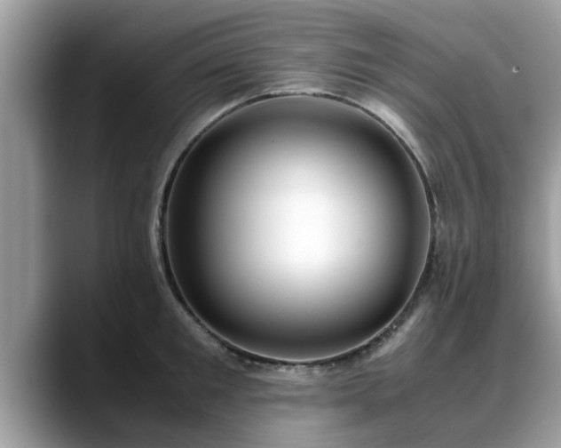 X0000088680901200706071424