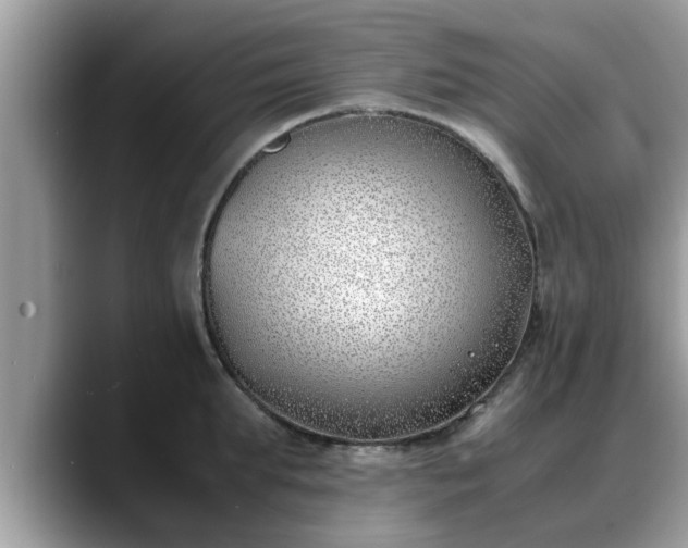 X0000088680903200706071424