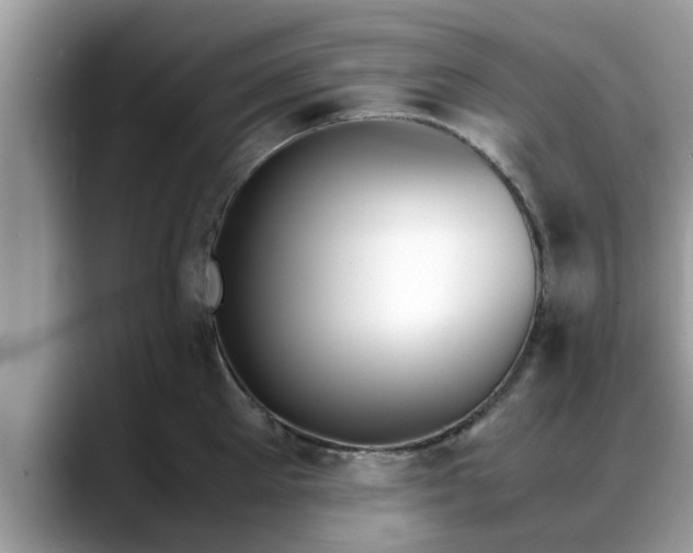 X0000088680905200706071424