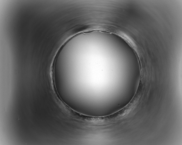 X0000088680907200706071424