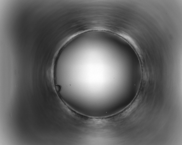 X0000088680910200706071424