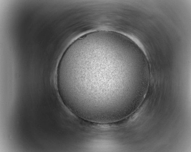 X0000088680911200706071423
