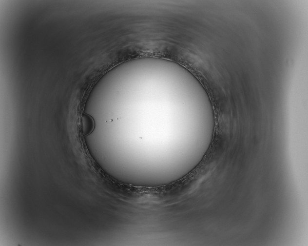 X0000088680913200706071423