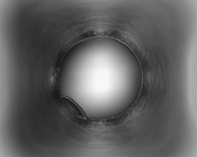 X0000088680914200706071423