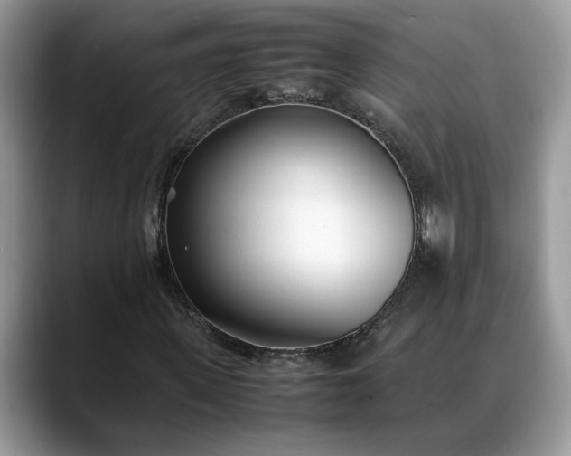 X0000088680915200706071423