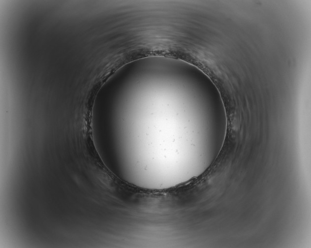 X0000088680916200706071423