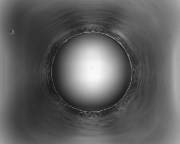 X0000088680919200706071423