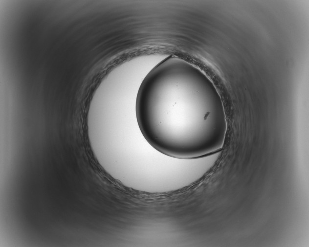 X0000088680920200706071423
