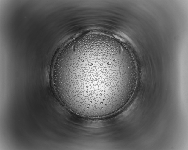 X0000088680921200706071423