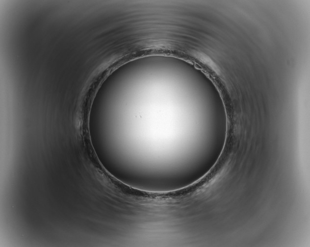 X0000088680922200706071423