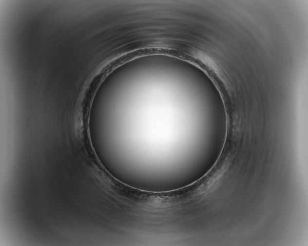 X0000088680923200706071423