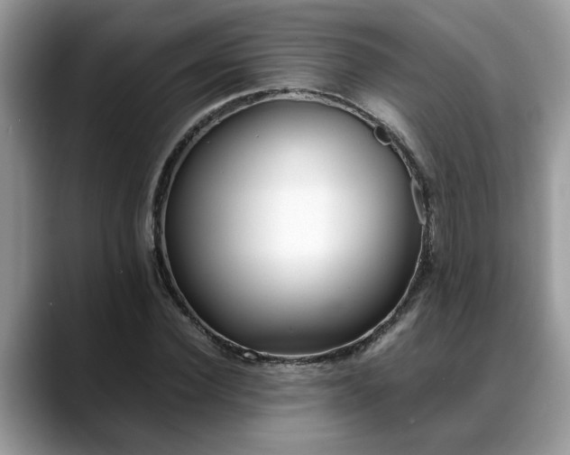X0000088680924200706071423