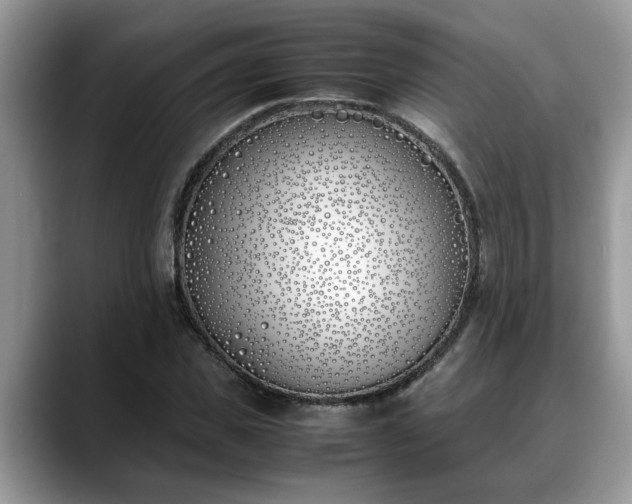 X0000088680925200706071423