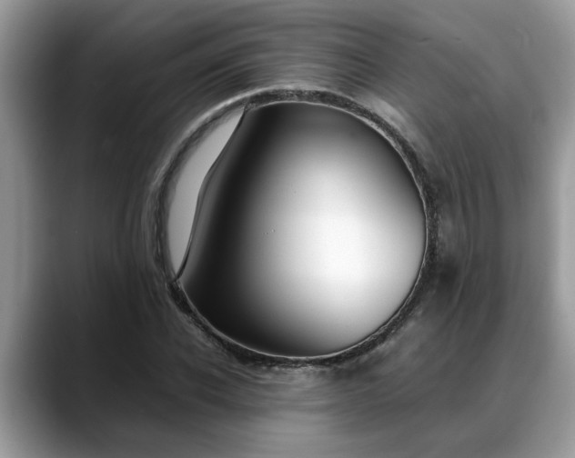 X0000088680926200706071423