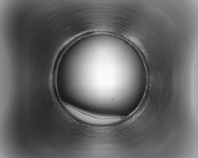 X0000088680928200706071423