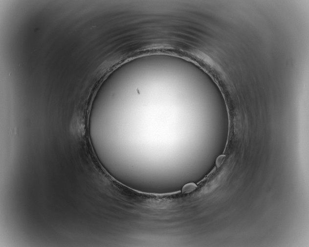 X0000088680929200706071423
