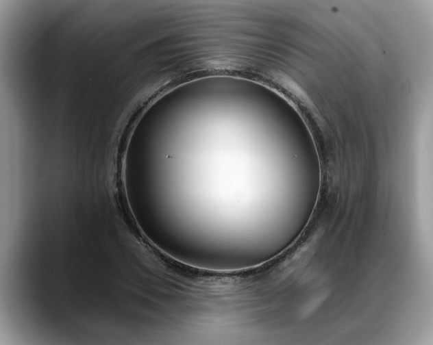 X0000088680930200706071423