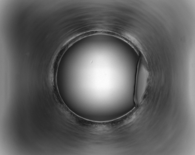 X0000088680931200706071423