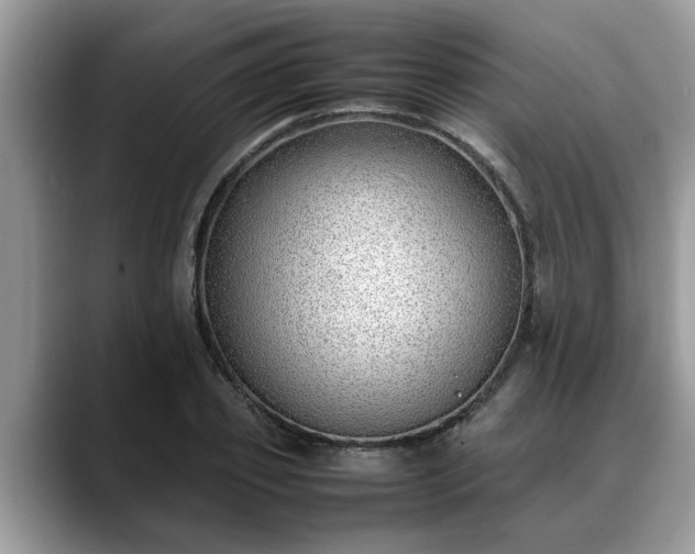 X0000088680933200706071423