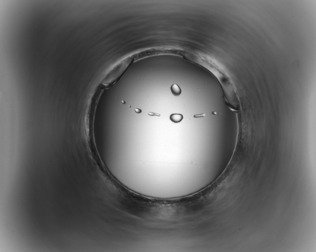 X0000088680935200706071423