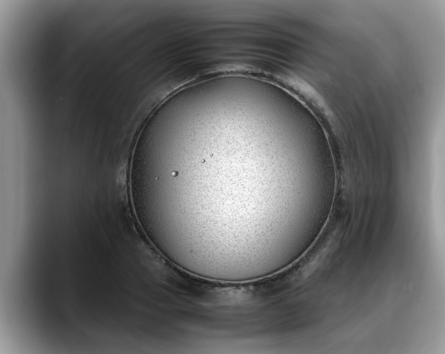 X0000088680937200706071423