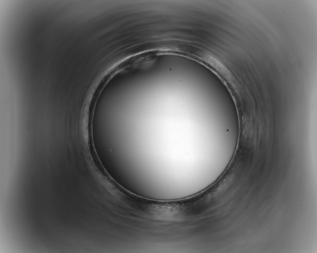 X0000088680939200706071423