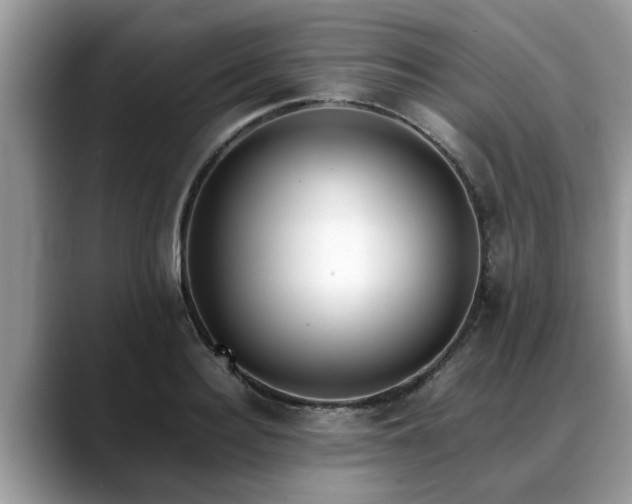X0000088680940200706071423