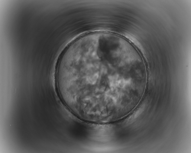 X0000088680941200706071423