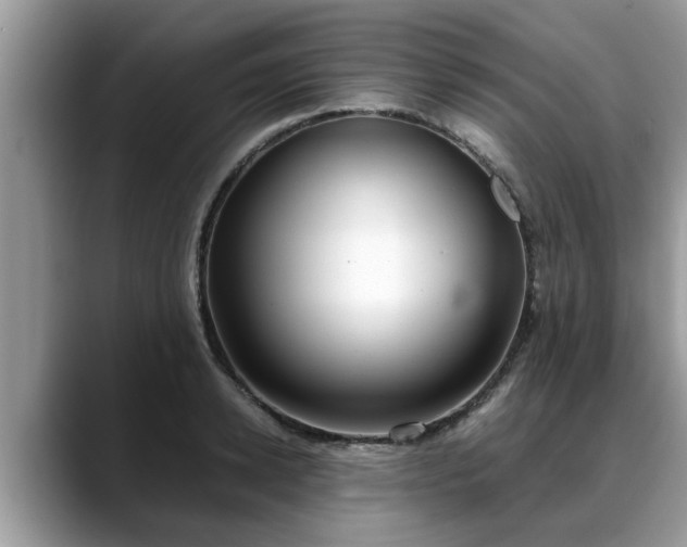 X0000088680942200706071423