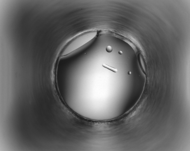 X0000088680944200706071423