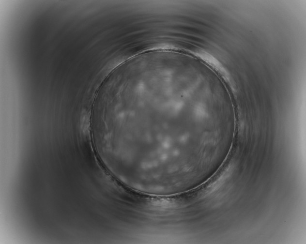 X0000088680945200706071423