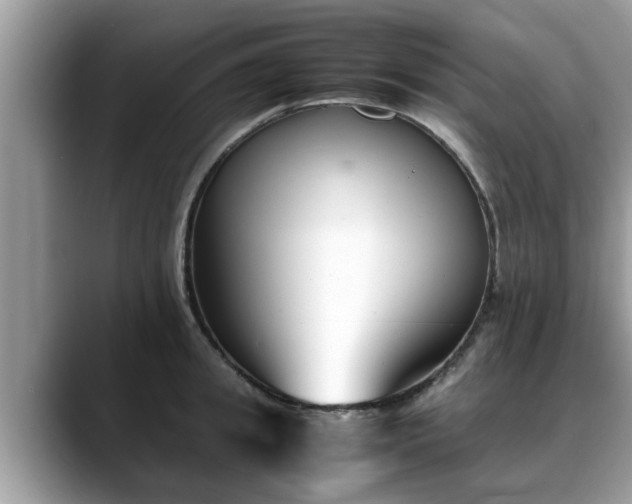 X0000088680949200706071423