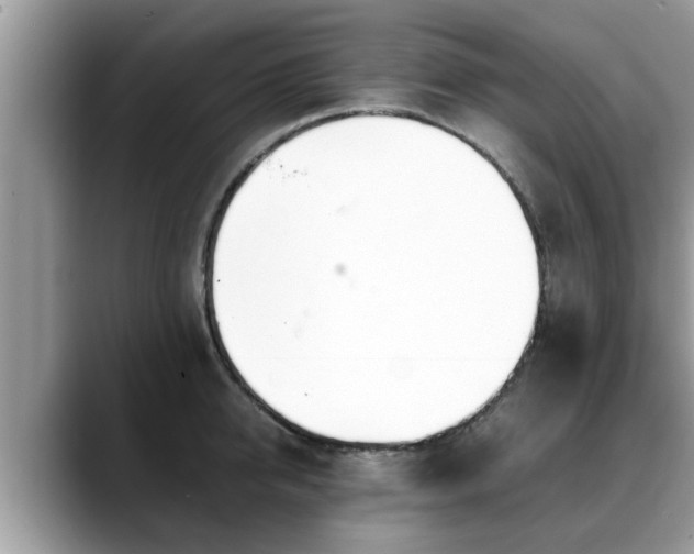 X0000088680950200706071423