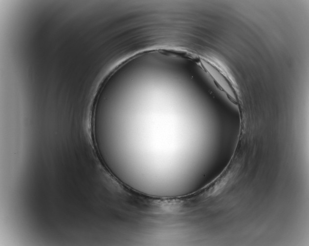 X0000088680952200706071423