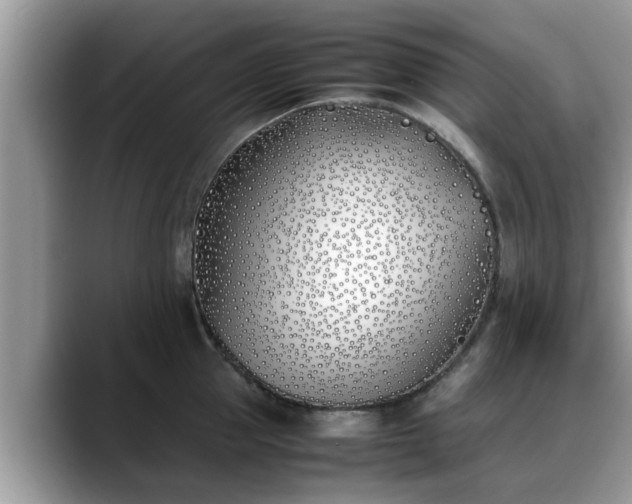 X0000088680953200706071423