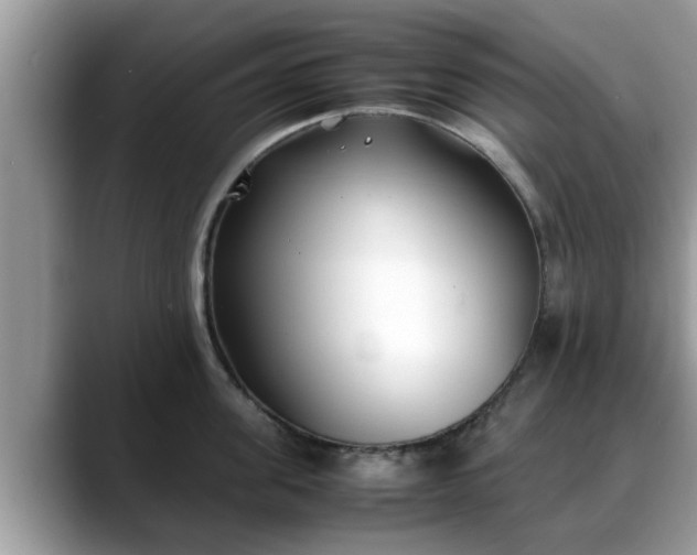 X0000088680955200706071423
