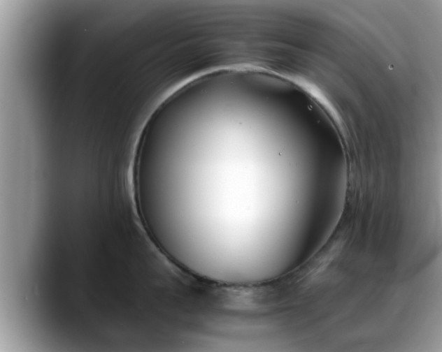 X0000088680959200706071423