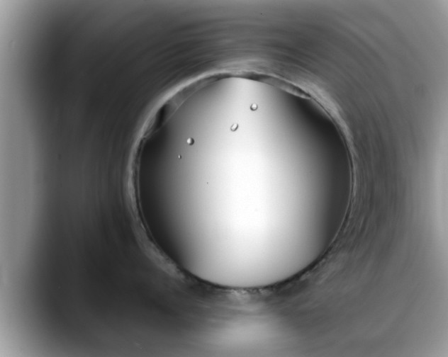 X0000088680960200706071423