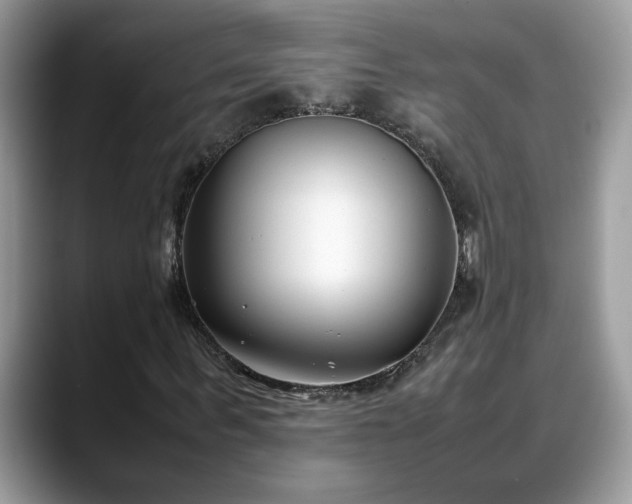 X0000088680963200706071423