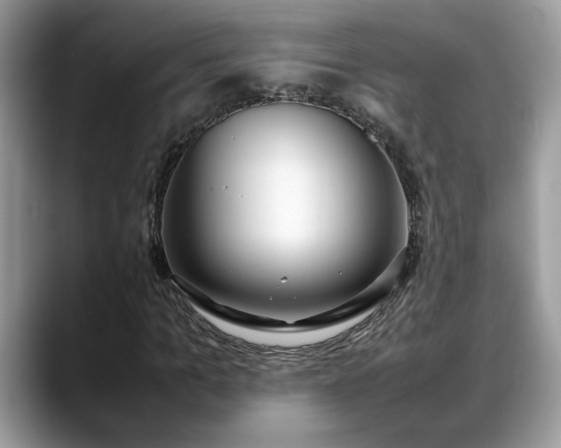 X0000088680965200706071423